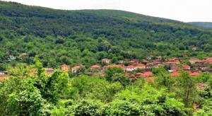 1425733_628013460575299_1027319705_n