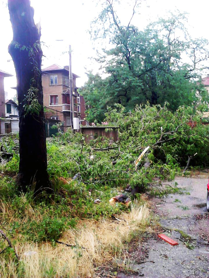 10545112_679026425486511_1690646818_n