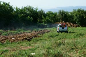 dezinsekcia_karlovo_s