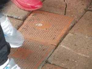 OLYMPUS DIGITAL CAMERA