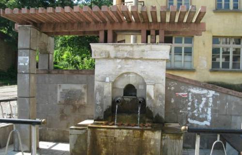 1478985_581956511858664_922128121_n