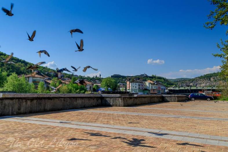 11201623_975067139194248_4993645893876951567_n