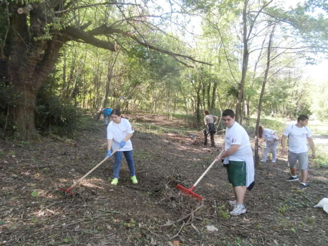 OLYMPUS DIGITAL CAMERA